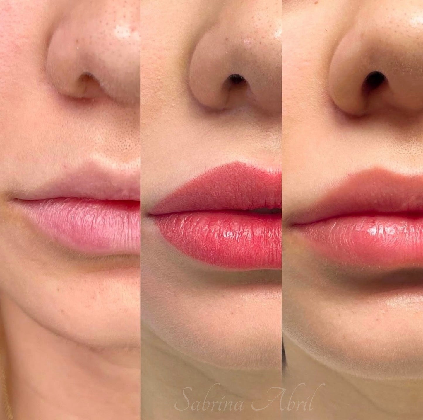 Micropigmentacion de Labios - Servicio Profesional