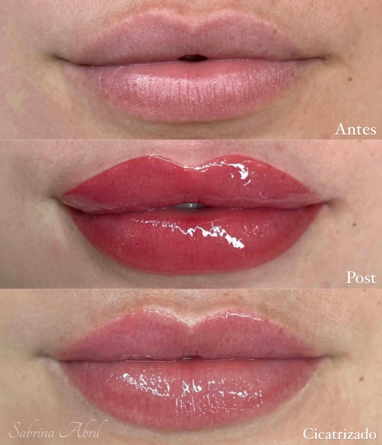 Micropigmentacion de Labios - Servicio Profesional