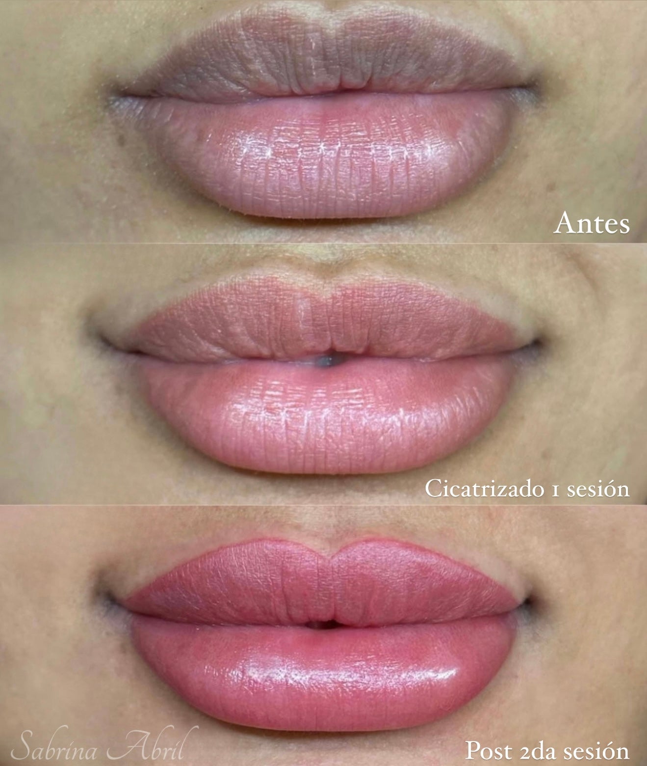 Micropigmentacion de Labios - Servicio Profesional