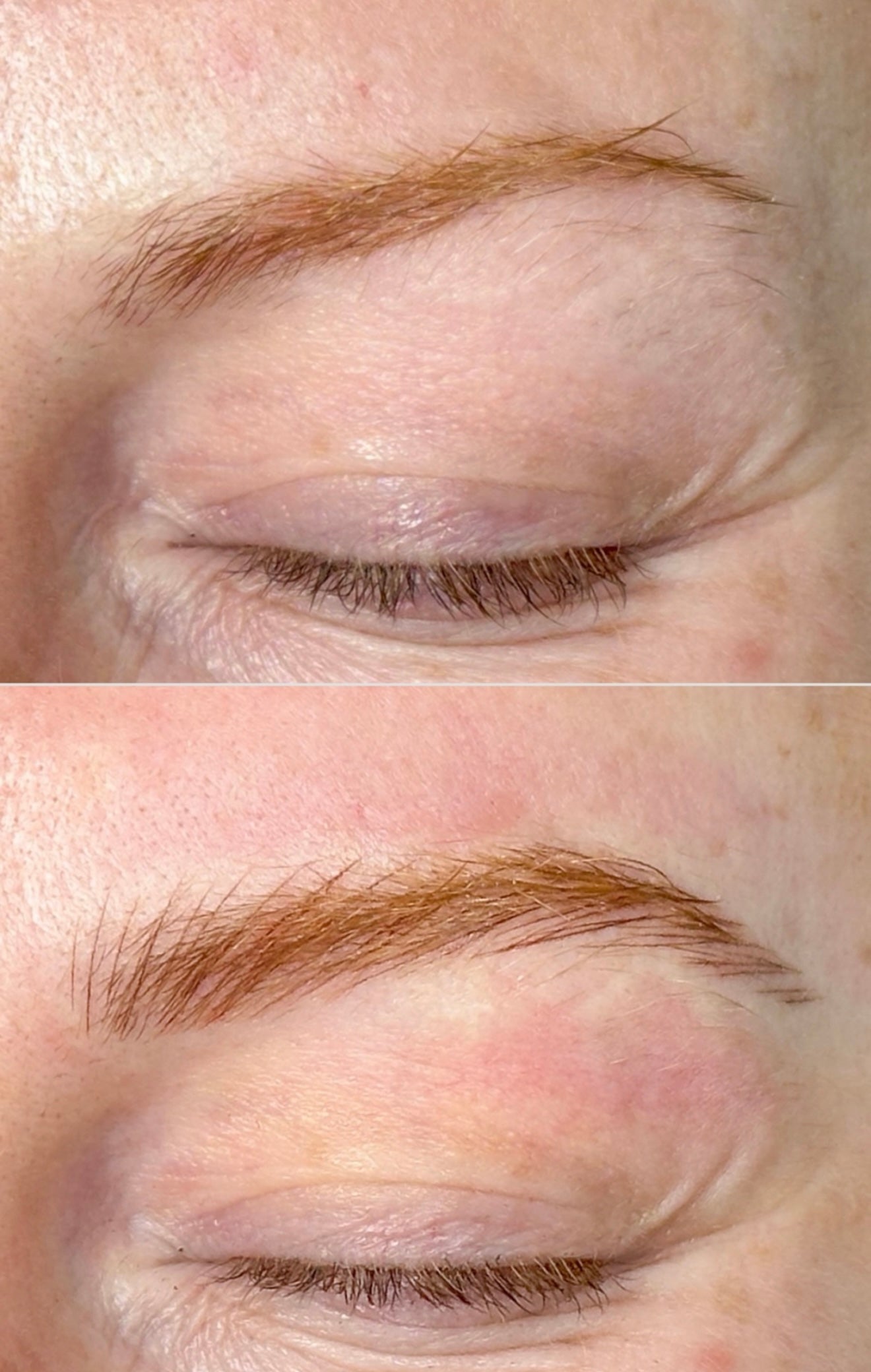 Micropigmentacion de Cejas - Servicio Profesional
