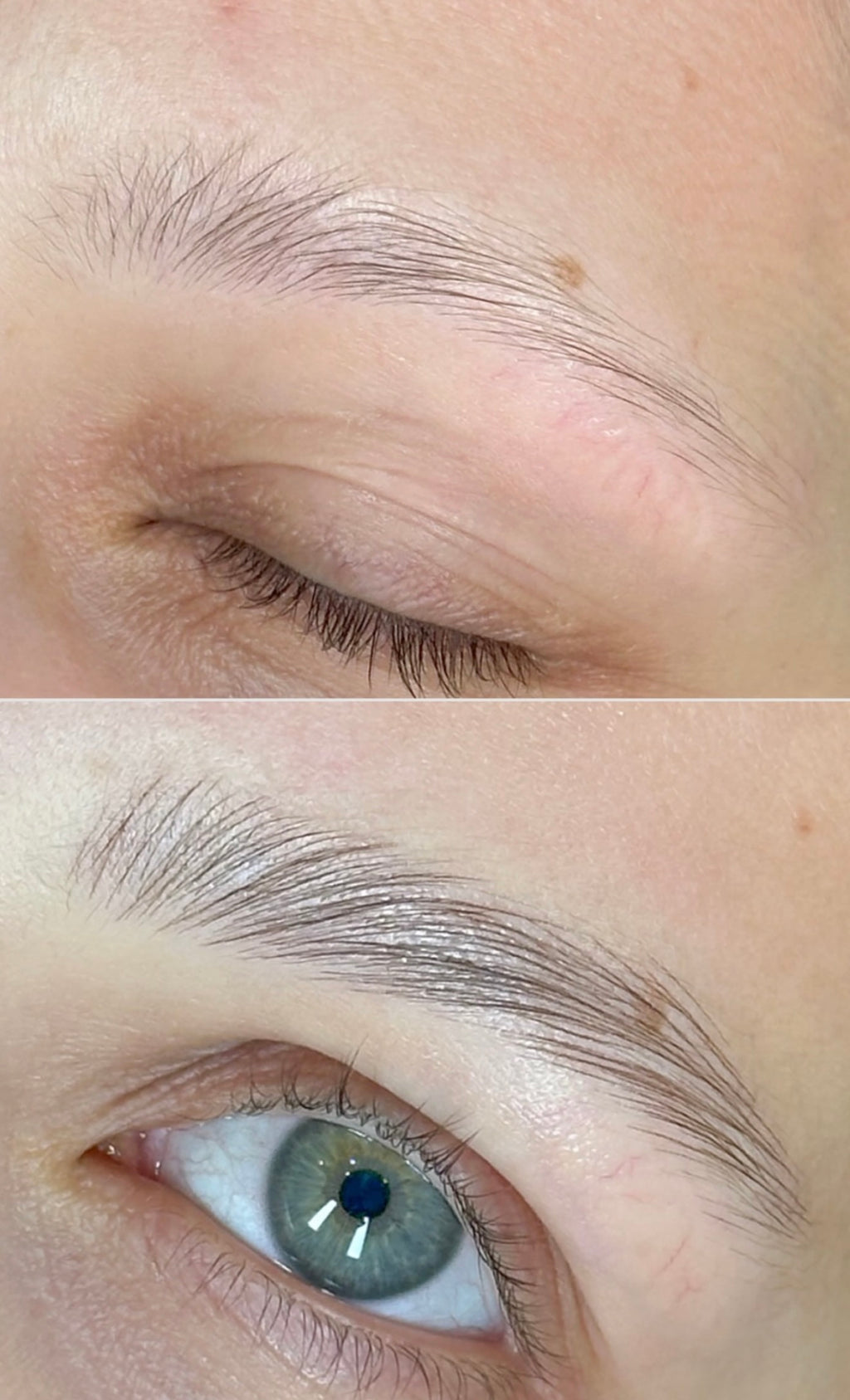 Micropigmentacion de Cejas - Servicio Profesional