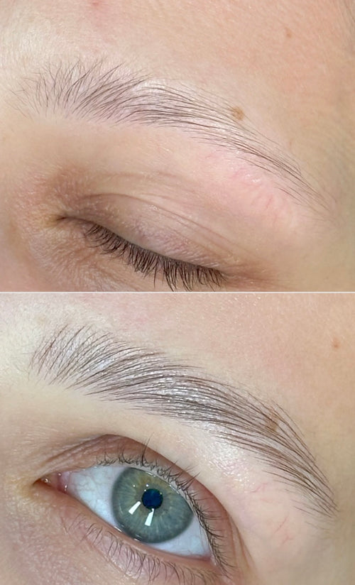 Micropigmentacion de Cejas - Servicio Profesional